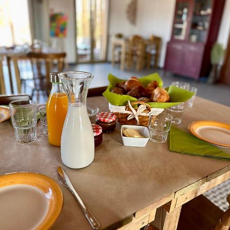 Alpaca Farm And B&B - Mama Adama Grândola 外观 照片