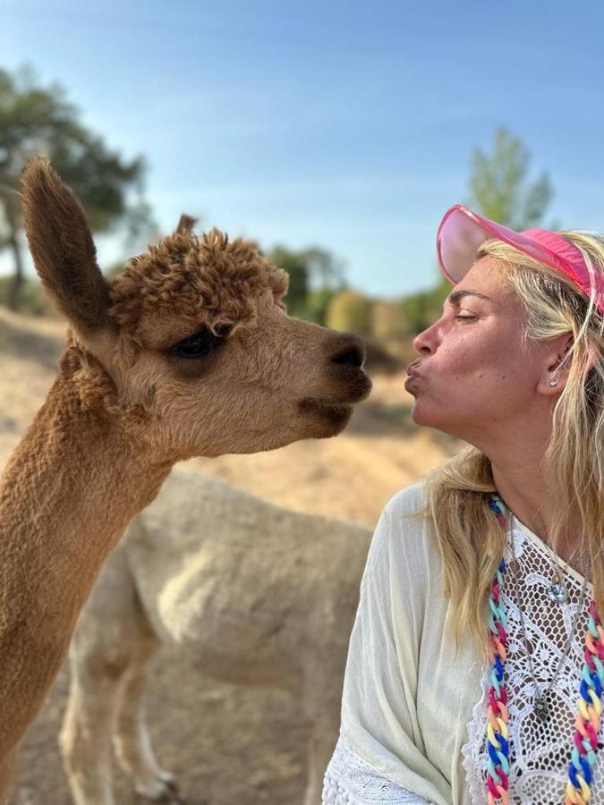 Alpaca Farm And B&B - Mama Adama Grândola 外观 照片