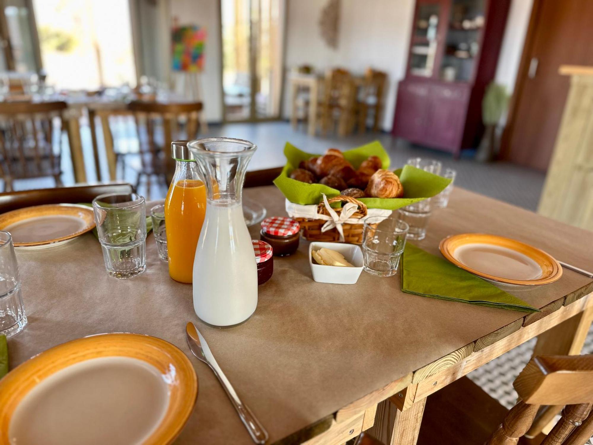 Alpaca Farm And B&B - Mama Adama Grândola 外观 照片